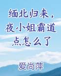 缅北归来，夜小姐霸道点怎么了全文阅读