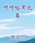 哼哼哈黑化集在线阅读小说
