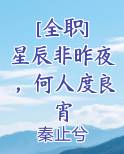 [全职] 星辰非昨夜，何人度良宵