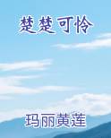 楚楚可怜小说全文免费阅读