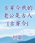 我的老公是古人晋江