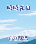 昭昭在目小说推荐