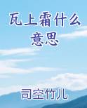 瓦上霜什么意思小说影视剧