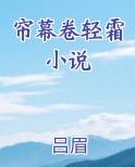 帘幕卷轻霜小说