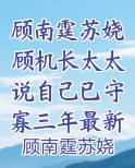 顾南霆苏娆顾机长太太说自己已守寡三年最新全文免费阅读无弹窗