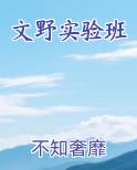 文野实验班