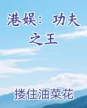 港娱：功夫之王