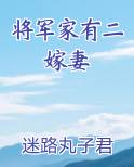 将军家有二嫁妻